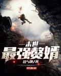 末日最强回收系统