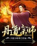 丹道宗师在线阅读