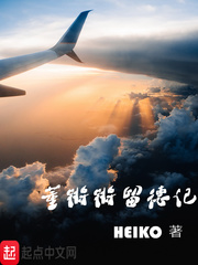 董锵锵留德记 小说