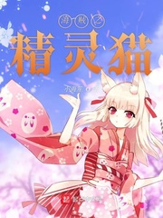 海贼之精灵猫小说