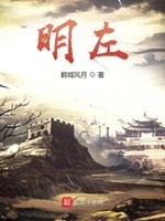 明左小说下载