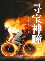 寻宝神瞳免费阅读全文笔趣趣