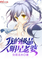 类似我老婆是大明星的小说